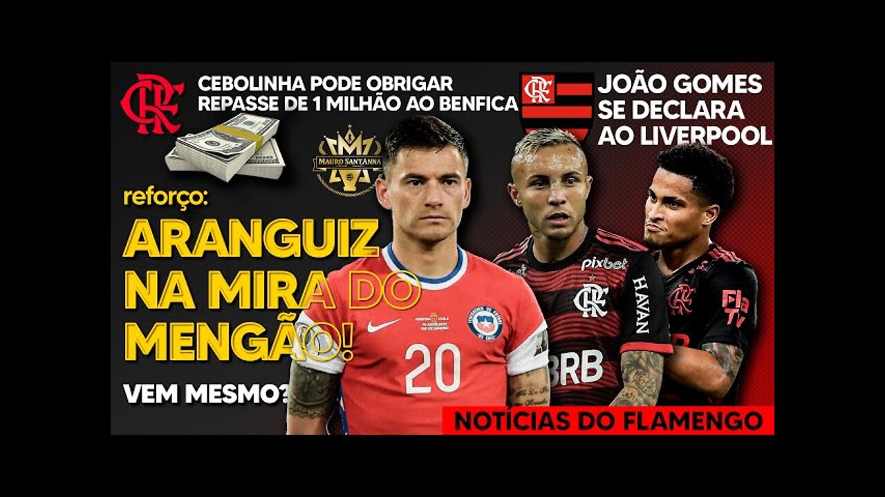 REFORÇO: PARÇA DE VIDAL NA MIRA DO FLAMENGO! TITULAR SE DECLARA A GIGANTE EUROPEU! GOLEIRO PODE SAIR