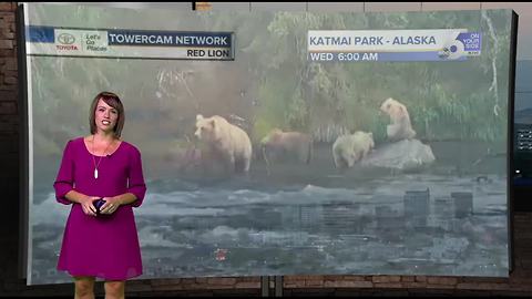 Rinse and repeat! Haze and heat the weather story again today