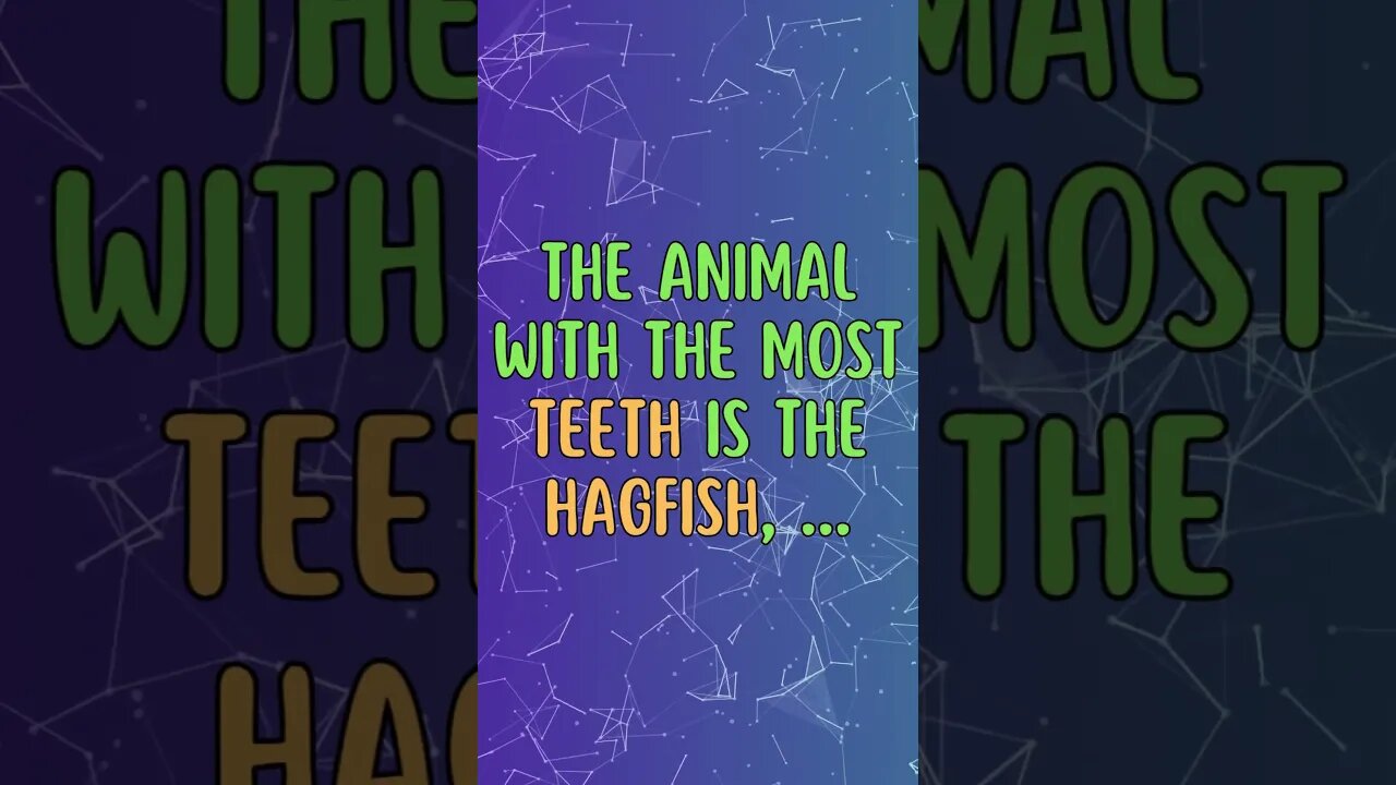 🐪🐫Discover Fascinating Animal Facts👀 #shorts #shortsfact #animalfacts #hagfish #fish #teeth