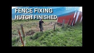 Dreams Really Do Come True | Pig Fence Fixed | Quail Hutch Gets Finished Just In Time