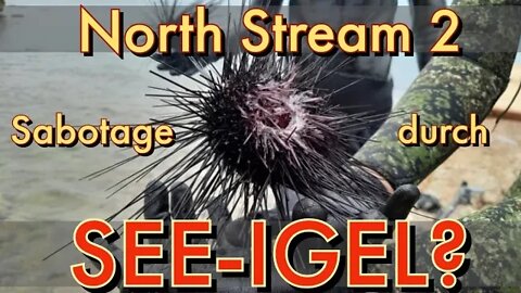 Nord Stream 2, Sabotage, Magie & See-Igel? | 😜 SATIRE
