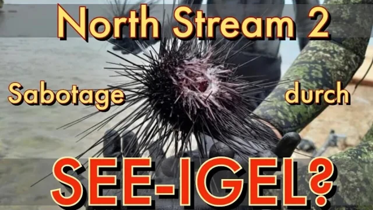 Nord Stream 2, Sabotage, Magie & See-Igel? | 😜 SATIRE