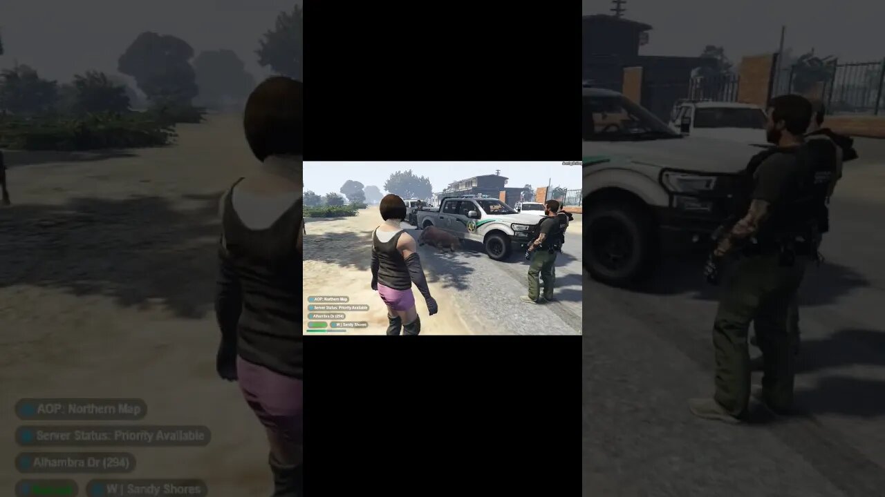 Cops Shoot cows #floridastaterp #gta5 #gtav #rockstar #gtarp #gaming
