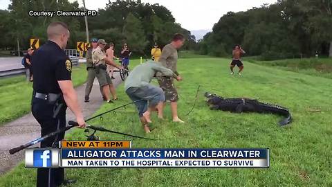 Man bitten by 11-foot alligator while retrieving disc golf disc from pond at Clearwater park