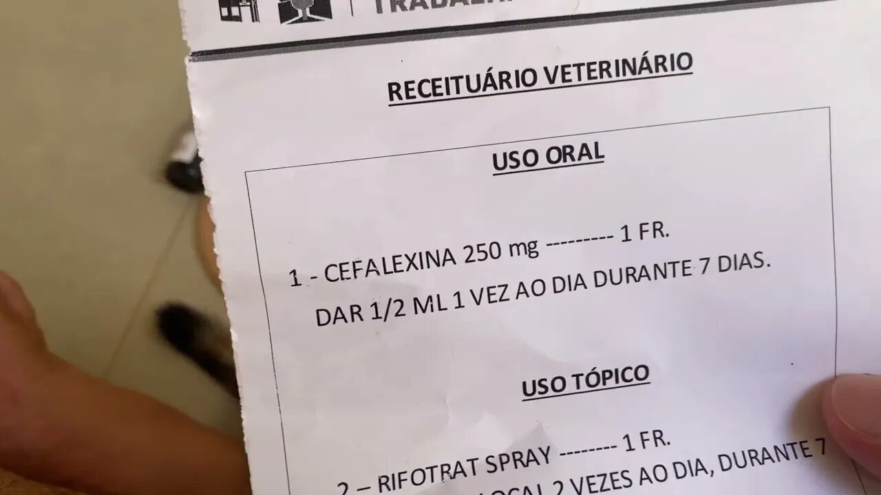 Romeu e Julieta castrados olha lista de remédios e como eles estão