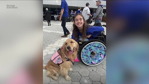 Pinellas County family keeps daughter's legacy alive by supporting therapy dogs