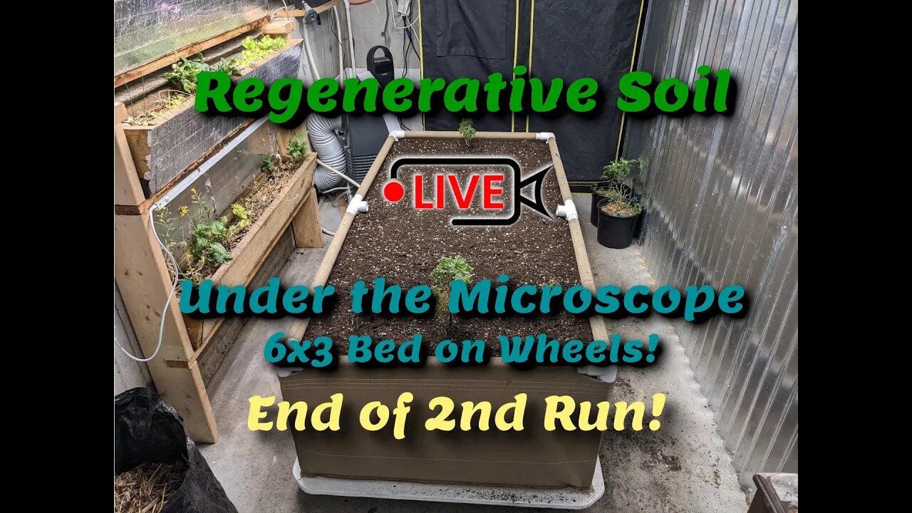 Regenerative Soil Microscopy LIVE on Indoor Bed end of 2nd Run!