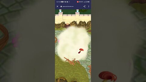 PLAN SOME FLOWER 🌺