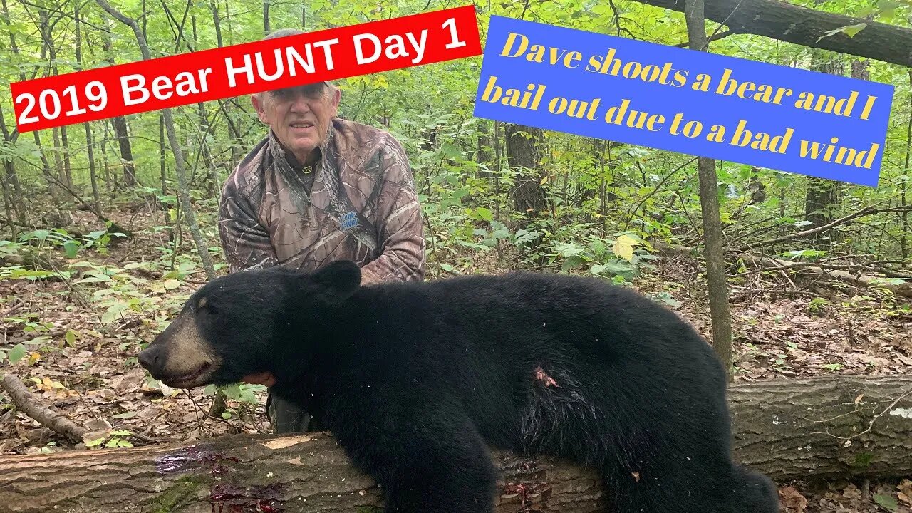 Minnesota bear hunting day 1, Dave gets his bear