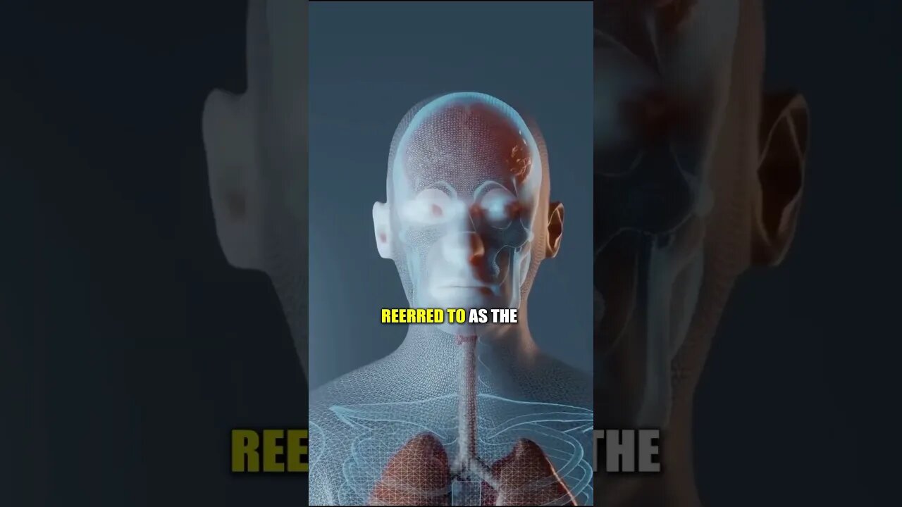 YOU’LL LEARN A LOT FROM THIS SHORT VIDEO! #viral #nektalovchiropractic #nyc #wellness