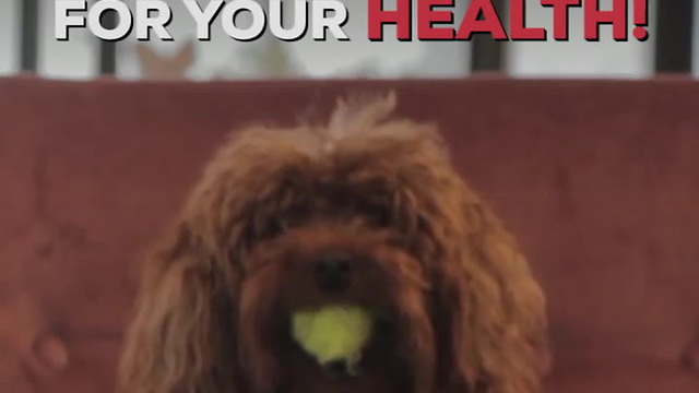 Pets Lead to Good Health