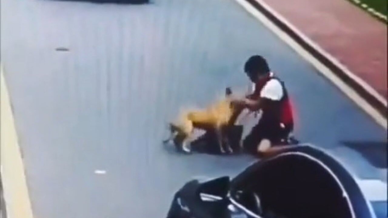 Boy In China Gets Mauled By A Dog And Not A Single Person Helps