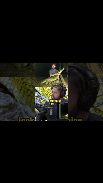 The Incredible Story of the Rediscovery of the Yellow Caiman - Forrest Galante and Joe Rogan