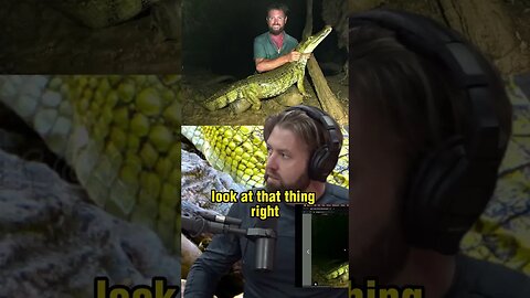 The Incredible Story of the Rediscovery of the Yellow Caiman - Forrest Galante and Joe Rogan