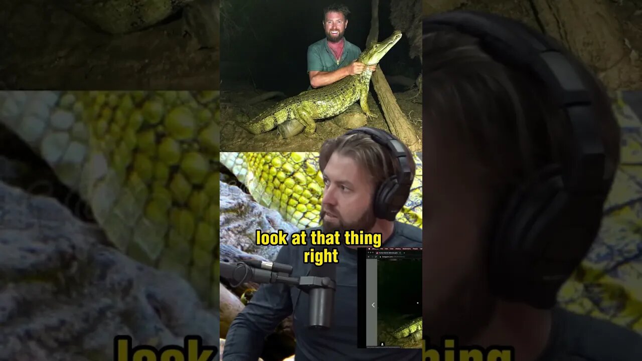 The Incredible Story of the Rediscovery of the Yellow Caiman - Forrest Galante and Joe Rogan