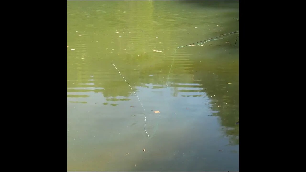 fly fishing at Jackson pond