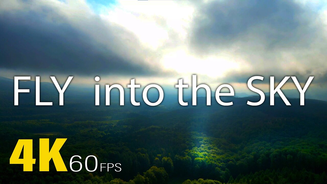 FLY INTO THE SKY | 4K 60FPS 空へ飛んで