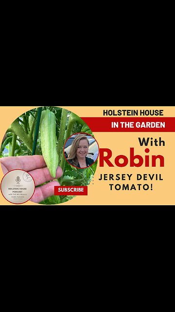 The Jersey Devil Heirloom Tomato
