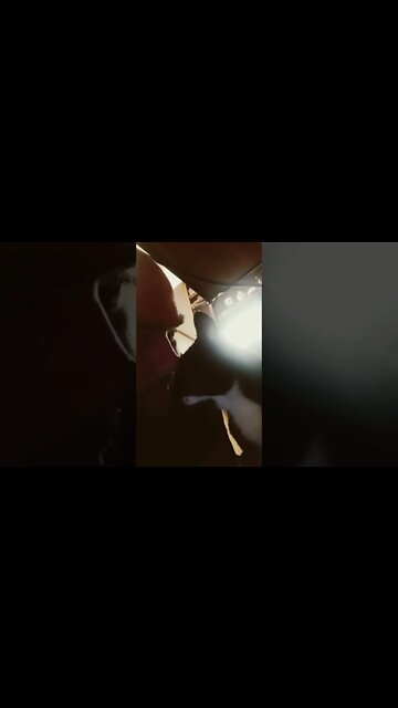 Kitty gets head kissed #shorts #shortsvideo #shortsfeed #catvideos