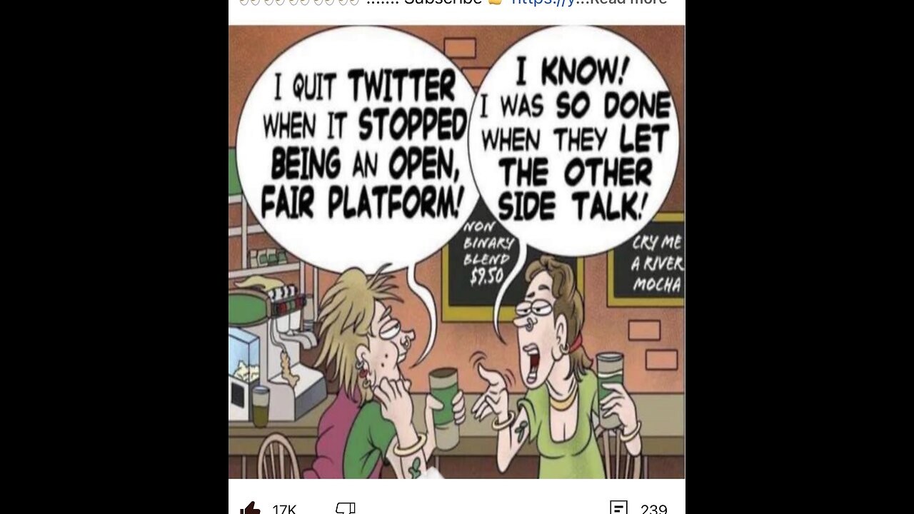 Everyone’s A Star 💫