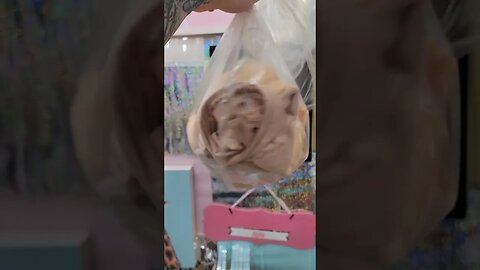 Womb Bag