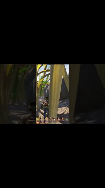 Hunting down a Bombardier & Random Wolf Spider Appears, Our Reactions #shorts