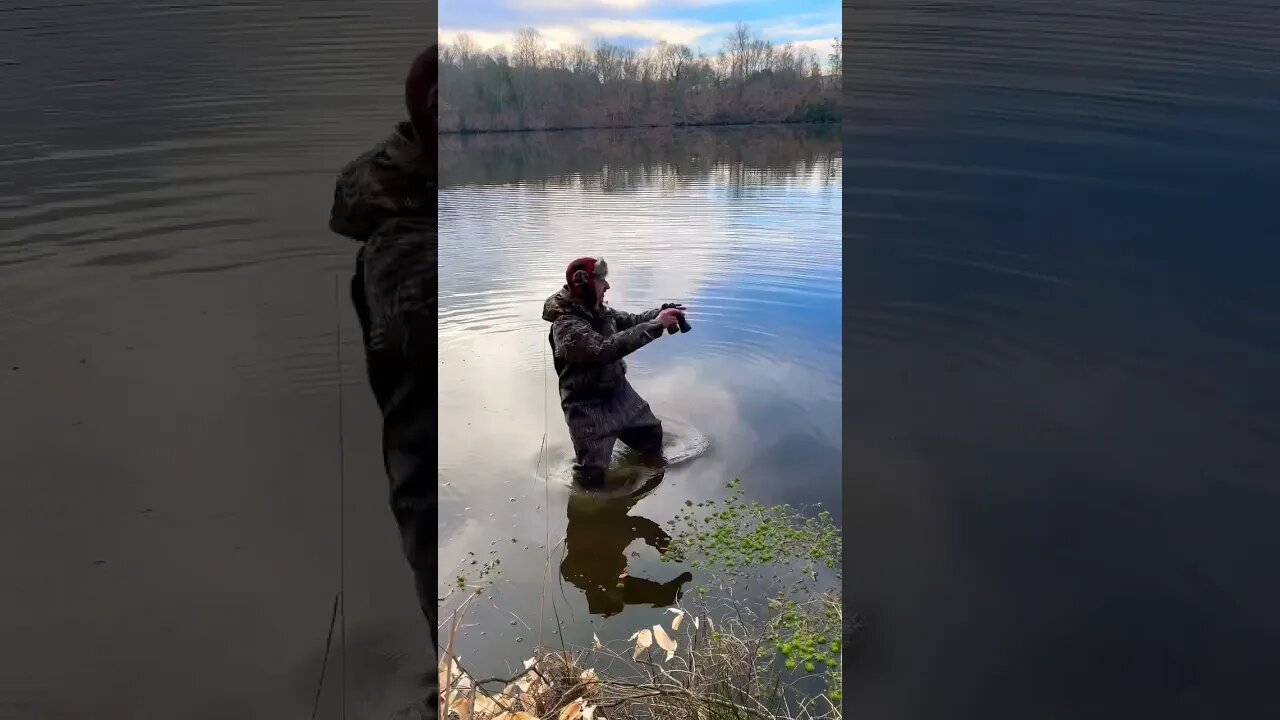 There’s a duck.