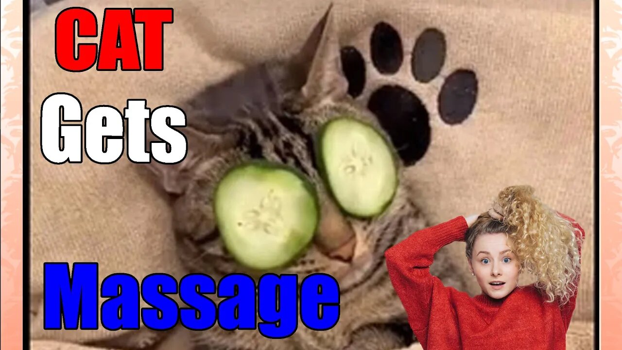 Raw Video Of A Cat Getting a Massage Reaction