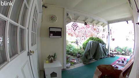 NORTH_VIDEO_DOOR_BELL_2023-04-08T11_37_19-0400.mp4