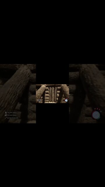 Hang Glider Glitch, Not A Good One - Sons Of The Forest #shorts