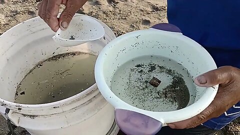 Looking for Milkfish Seeds on the Beach