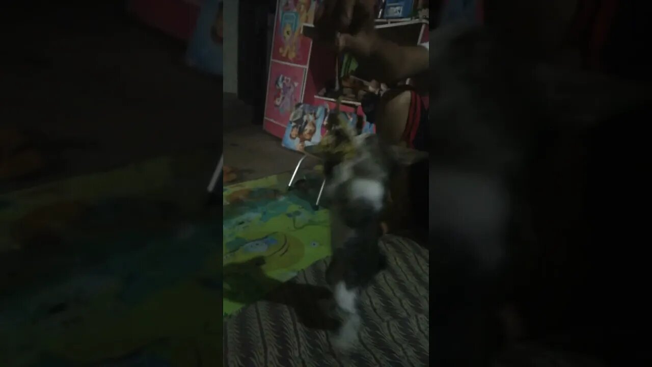 Si Meong begini Ya. Padahal ini bukan makanan.