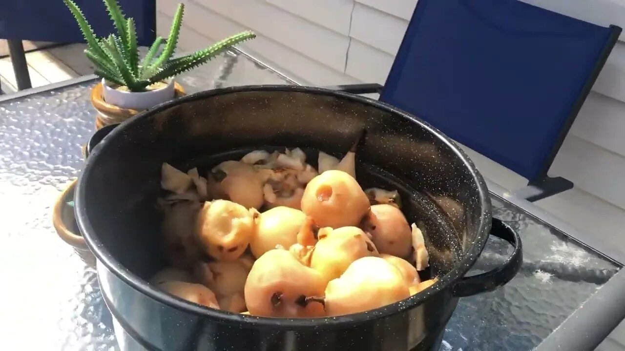 Oops on the pears we will try it again