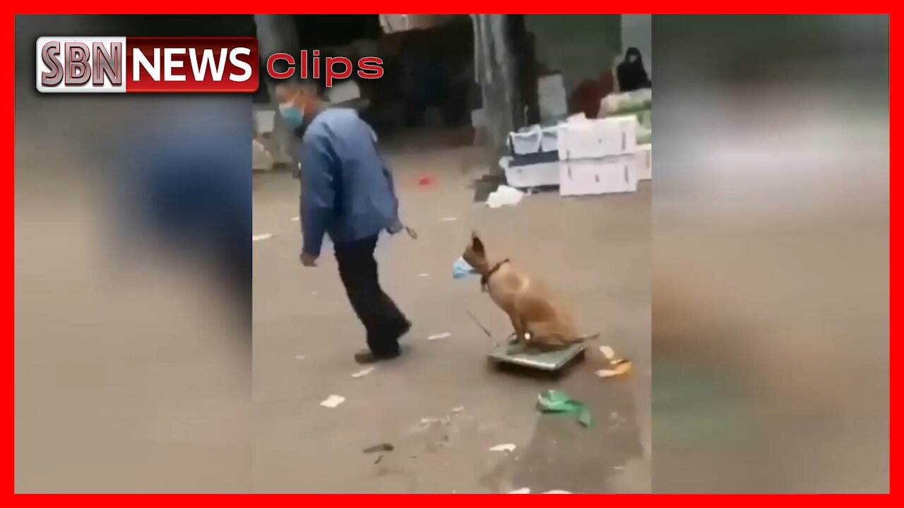 Meanwhile, Somewhere in China - 2897