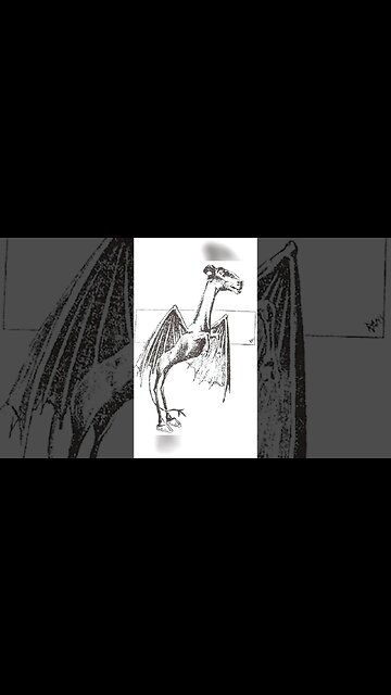 Creepiest Mythical Creatures In The World #scary #trending