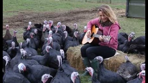 The 'Turkey Whisperer' who lives in Wales