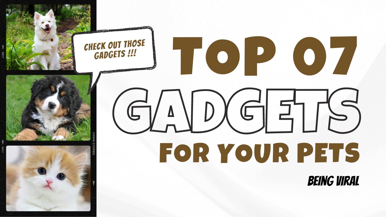 TOP 7 GADGETS FOR PETS | BEST PET GADGETS EVERY PET OWNER SHOULD KNOW | BEING VIRAL