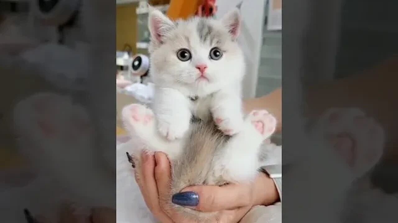 Cute🥰🥰😘