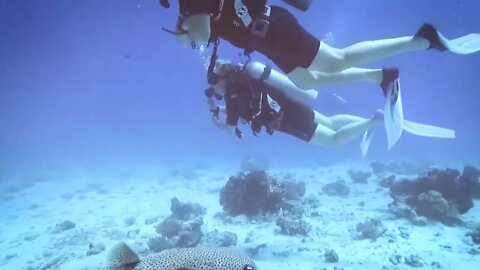 Scuba diving, Red Sea, Egypt Hurghada 2022-10