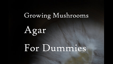 An Introduction to Growing Mushrooms: More On Agar Episode 4 (2021)