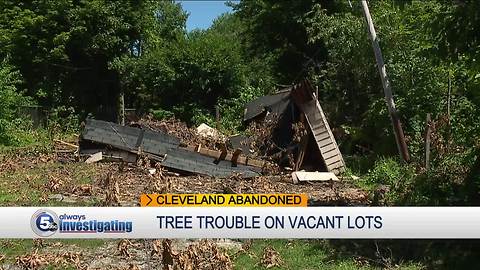 Properties at risk of damage from nearby trees leaning over or falling from abandoned properties