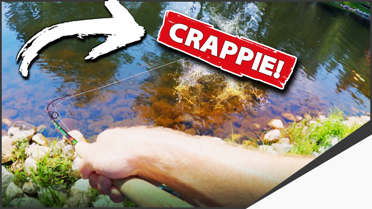 Crappie Fishing Secret (DON’T SHARE!) Are You Missing EASY Fish?