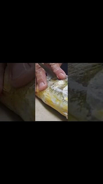 Old Salts and a Fish 🎣 #fishing #mahimahi