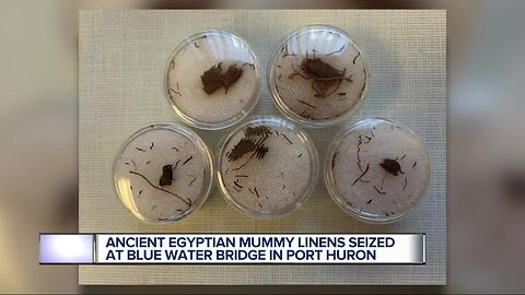 Ancient Egyptian mummy linens seized in Port Huron