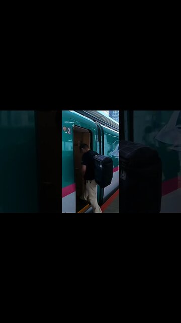 ALL ABOARD! The Bullet Train in Japan