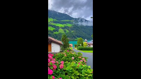 Natural video