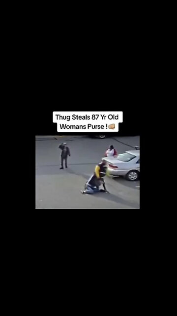 FAFO: Thug Tries To Steal 87y/o Woman’s Purse In A Small Town, Hero To The Rescue