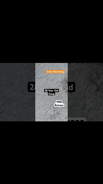 Are you old enough to remember this song? Rereleased on a compact disc in 1995. Dave Matthews Band