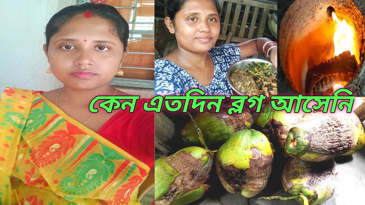 গ্রাম বাংলার সবাই কমবেশি এগুলো খেতে খুব পছন্দ করে#msvillagelifestyle