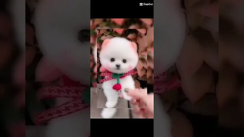❤❤❤❤❤❤